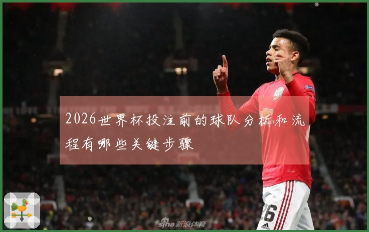 2026世界杯投注前的球队分析和流程有哪些关键步骤