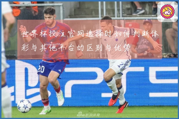 世界杯投注官网选择时如何判断体彩与其他平台的区别与优势