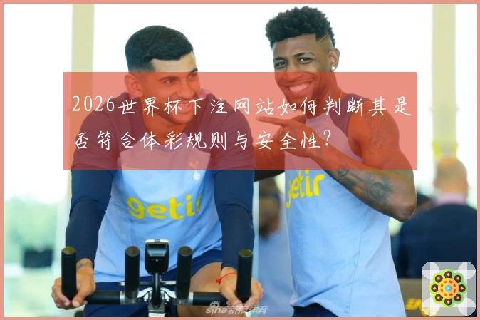 2026世界杯下注网站如何判断其是否符合体彩规则与安全性？