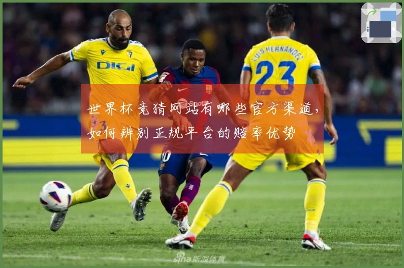 世界杯竞猜网站有哪些官方渠道，如何辨别正规平台的赔率优势